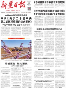 新疆日报(汉)期刊
